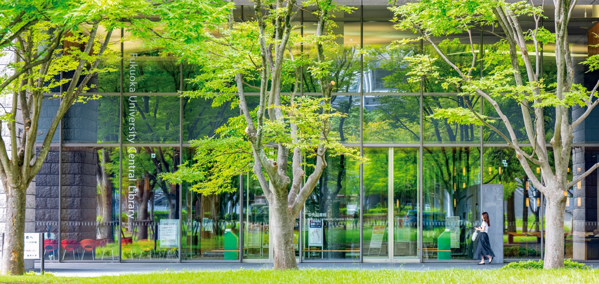 福岡大学入試情報サイト 画像